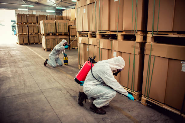 Best Wildlife Control Services  in Brusly, LA