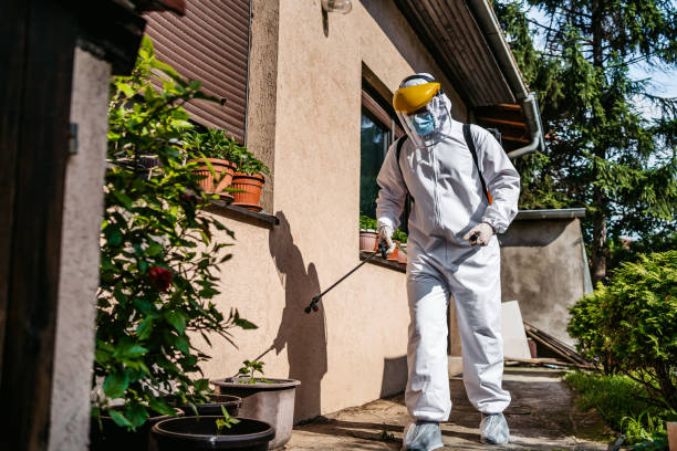 Best Exterminator Services  in Brusly, LA