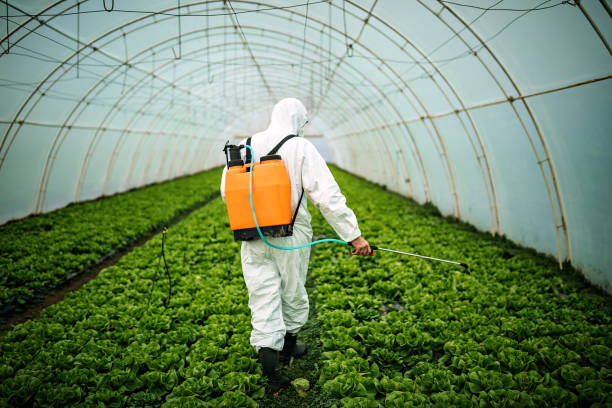 Best Pest Removal Services  in Brusly, LA