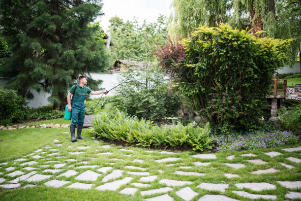 Best Wasp Removal Services  in Brusly, LA