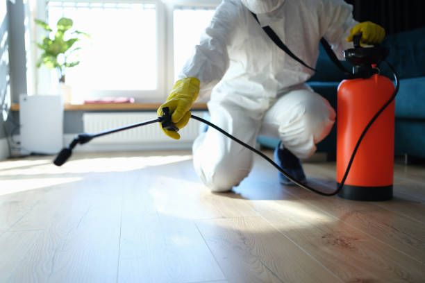 Wasp Removal Services in Brusly, LA