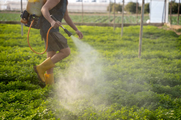 Best Commercial Pest Control Services  in Brusly, LA