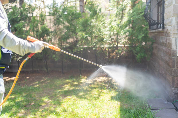 Best Pest Prevention Services  in Brusly, LA