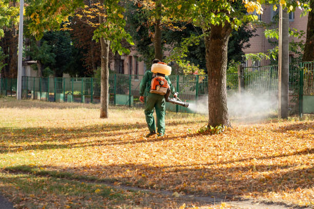 Best Pest Removal Services  in Brusly, LA