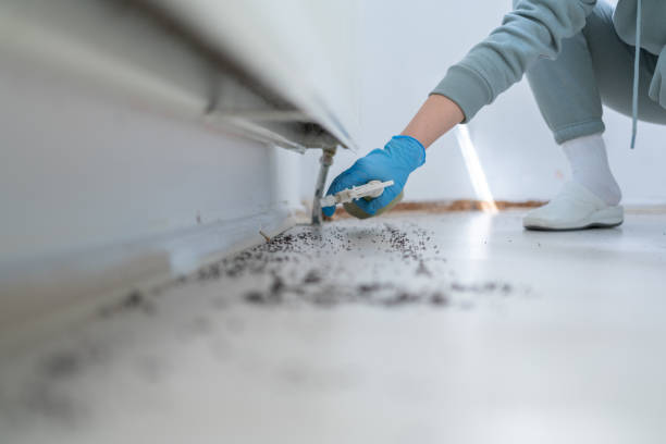 Best Pest Inspection Near Me  in Brusly, LA